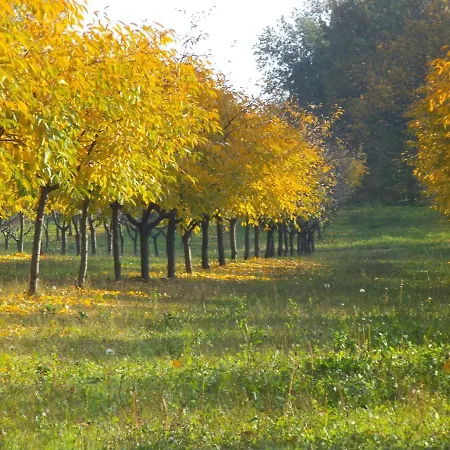 Feriegård Cantalupo *