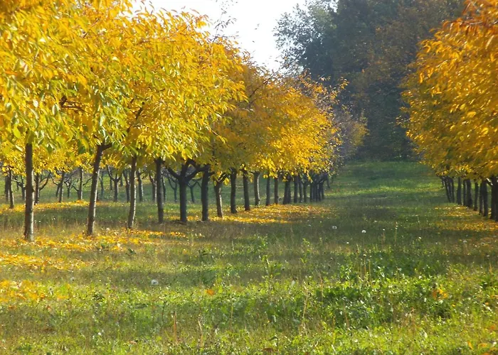 Feriegård Cantalupo *