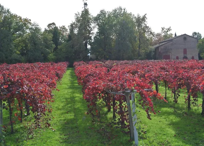 Feriegård Cantalupo Formigine